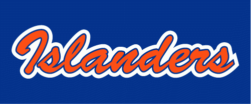 New York Islanders 2008-2017 Wordmark Logo DIY iron on transfer (heat transfer)